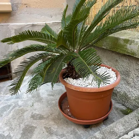 Apartment Goa Sea - Foce Genoa